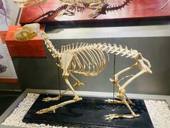 -国家自然博物馆