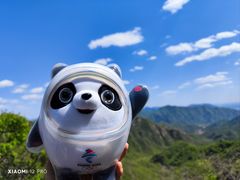 -大岭沟猕猴桃谷风景区