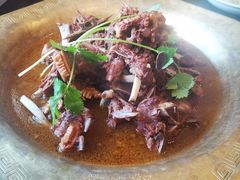 -芦月轩羊蝎子(北蜂窝店)