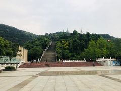 -铁山坪森林公园