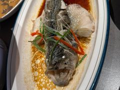 -宏宴·新京菜(望京店)