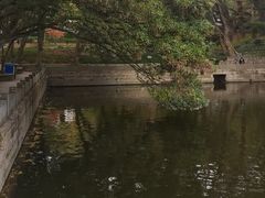 -普陀山风景名胜区-法雨禅寺