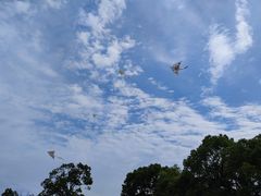 -不觉晓CAMPING(上海迪士尼营地店)