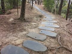 -佛山市三水区大南山森林公园