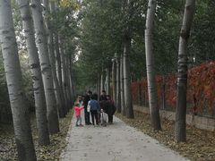-北京麋鹿生态实验中心