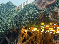 -横店影视城梦幻谷园区