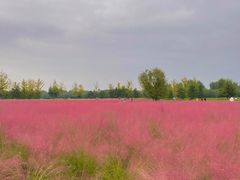 -汉长安城未央宫国家考古遗址公园