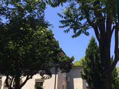 iphone_upload_pic-八大关景区