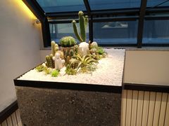 -大树餐厅(红旗街万达店)