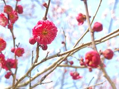 -上海大学(宝山校区)