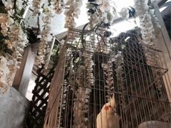 iphone_upload_pic-燕庭·纯燕窝·甜品下午茶(南京西路店)