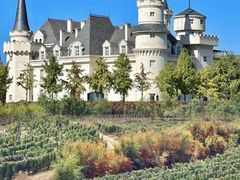 -北京张裕爱斐堡酒庄