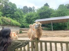 -贵州森林野生动物园