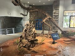-自贡恐龙博物馆