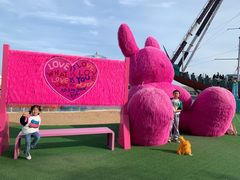 -秦皇岛乐岛海洋王国