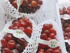 -马陆小张葡萄园农家乐