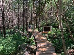 -白草畔自然风景区