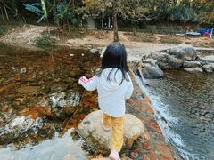 -广州市石门国家森林公园