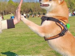 -钟山体育运动公园
