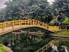 -晓港公园