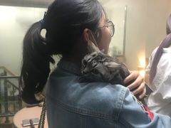 -优米宠物美容(体育场路店)