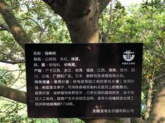 -龙寺生态园