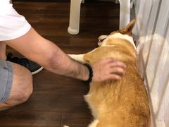 -柯斗斗主题餐厅·狗咖·围炉煮茶·茶饮(国瑞升平里店)