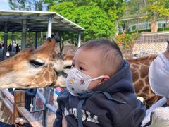 -泉州海丝野生动物世界