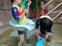 -杭州开元森泊度假乐园