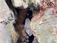 -石台牯牛降景区