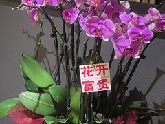 -恒记饭店·海鲜明档(淹城店)