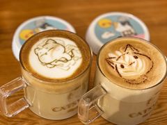 小院拿铁-猫小院猫主题餐厅(三里屯店)