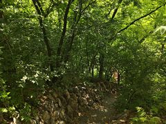 -大连植物园