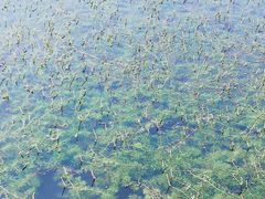 -芒洲湿地公园