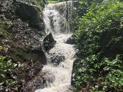 -莫里热带雨林景区