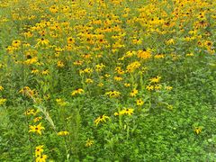 -大连天门山国家森林公园