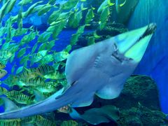 -成都浩海立方海洋公园