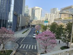 -深圳湾万象城(南山店)