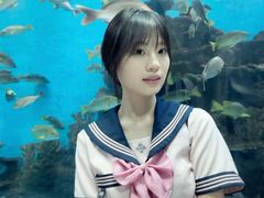 -合肥海洋世界