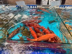-尖沙咀大酒楼(罗村店·粤菜海鲜·宴会聚餐)