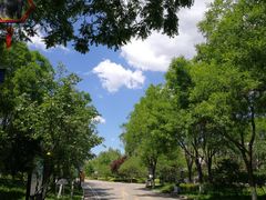 -石家庄市动物园