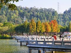 -顺峰山公园