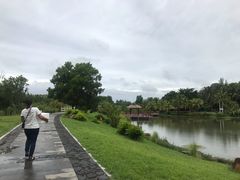 -沙美村