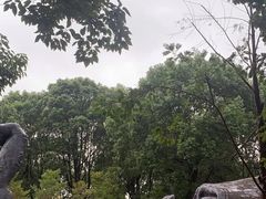 -宁波野生动物园