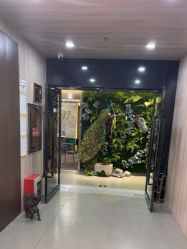 点击看大图 -北京炫美医疗美容