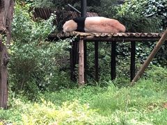 -云南野生动物园
