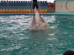 -尼莫海豚馆