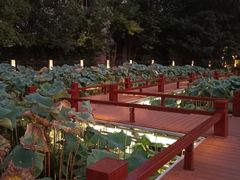 -南通濠河风景名胜区