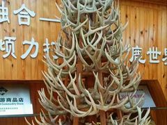 -北京鹿世界主题园