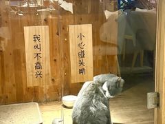 -有才叔的小馆(民乐园店)